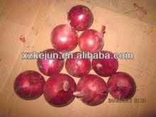Chinese 7-9cm fresh red onion on sale