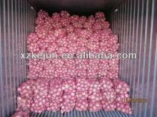 2013 fresh red and yellow onion from China