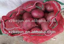 Natural 2013 fresh red and yellow onion from China