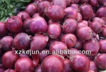 7-9cm  2013   fresh   red  onion in bulk quantity