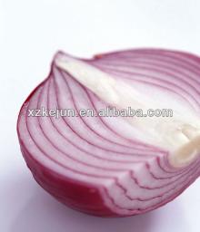 2013 new crop fresh onion