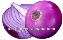 peeled red onion