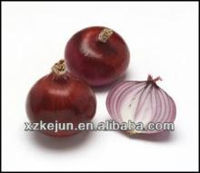 2013 new crop smooth surface red onion