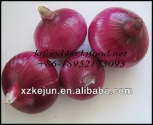 2014 Chinese peeled red onion