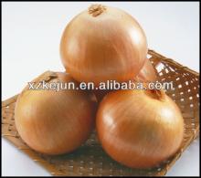 2013 high grade new fresh yellow onion