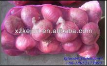 Exporting grade  10kg  mesh  bag  packed fresh red  onion 