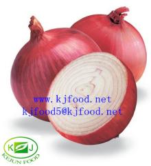  New   crop   fresh  onion
