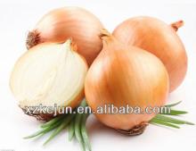 2014 Fresh yellow onion