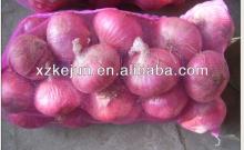 Fresh  red   onion   mesh  bag packed