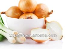 Fresh yellow onion with high quality