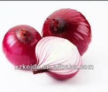 New crop Fresh red onion grade A