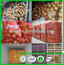 Chinese new crop fresh yellow onion