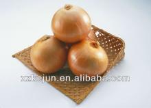 2013 New crop fresh yellow onion from China