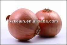 2014 new crop yellow onion