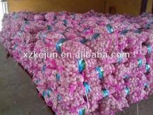 Normal white natural garlic New crop