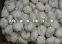 Chinese Fresh Natural Garlic