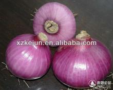 2014 New Crop Fresh Onion