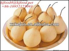 sweet and delicious fresh Ya pear