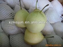 Sweet fresh Ya Pear