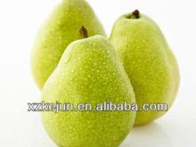 China fresh Ya Pear