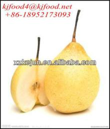 2013 Chinese fresh Ya pear