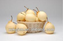 High grade fresh Ya Pear from Hebei