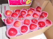 Chinese Fresh Red Apple Fruit