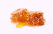acacia honey in comb