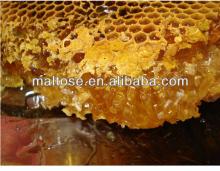 bulk pure natural bee honey with comb packed in mason jar