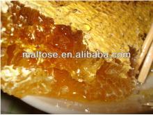 pure bee honey with comb for beauty and healthty pack in glass bottle