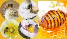 100% YEMEN Pure Polyflora Bee Honey