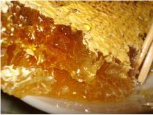 Natural Comb Honey with Good Quality Comb