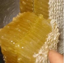 Good Quality Bee Honey Comb