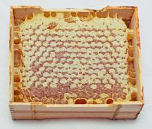 Good Quality New Sidr Golden Combed Honey