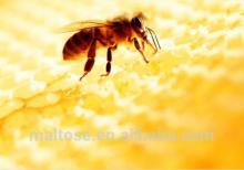 Pure Royal Honey Bee Exporter