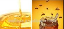 HYK Brand Bulk Honey with Glass Jars for Honey