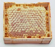 100% Nature Honey Comb Sale