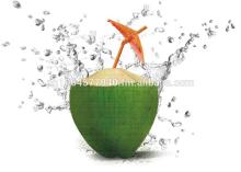 100% Pure Coconut Water (Private label)