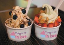 Frozen  yogurt  powder, yogurt   mix ,frozen  yogurt 