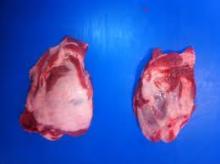 Frozen Pork Loin Bone-in Skinless,Frozen Pork Loin Boneless Skinless ,Frozen Pork Shoulder Boneless