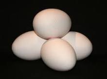Exports white farm fresh chicken eggs