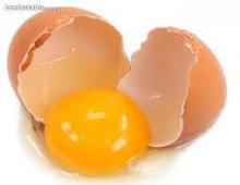 FRESH SHELL CHICKEN EGGS