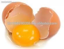Quality Chicken Eggs Available Now in Thailand