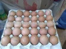 FRESH POULTRY BROWN AND WHITE TABLE EGGS