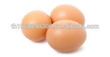 100% High Quality White and Brown Shell Eggs Available Now for Export