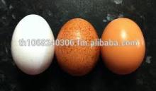 Fresh Table Eggs Brown (White eggs) FRESH GRADE