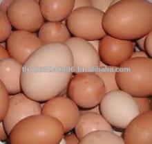 Whole Brown and  White   shell   Table   Eggs 