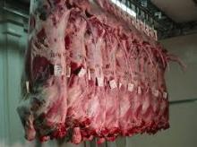 FROZEN BEEF