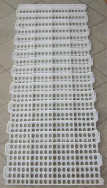 Chicken Floor,1200*500mm