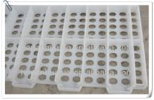 Poultry Slat,1200*500mm